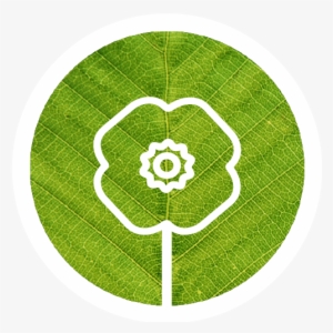 1419 - Circle #3756891 1419 - Circle #3756891