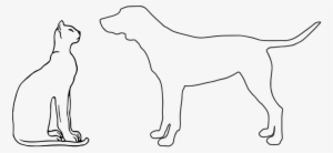 Animal Dog Cat - Stock.xchng #3758159