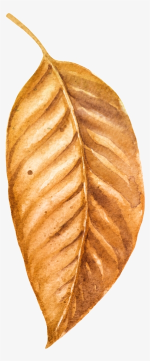 Hand Drawn A Piece Of Autumn Leaves Vector - Autumn #3758655