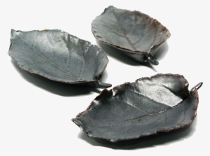 Fallen Leaves - Leaf #3758786