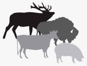 Wildgamesilogame - Car Stickers Big Deer Sticker #3758840