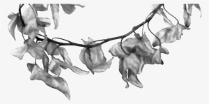 Dark-flower - Net - - Sketch #3759210