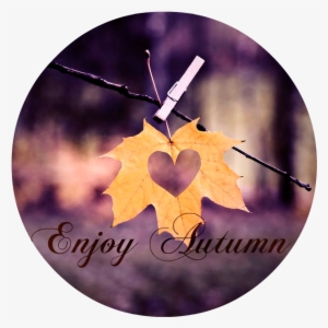 [enjoy Autumn] - Happy Friday The Skylark Dream #3759263
