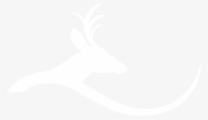 Deer Hill Expeditions Deer Hill Expeditions Deer Hill - Roe Deer #3759685