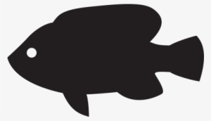 Tilapia #3760093