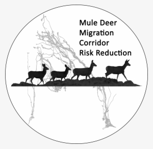 Share - Mule Deer #3760257