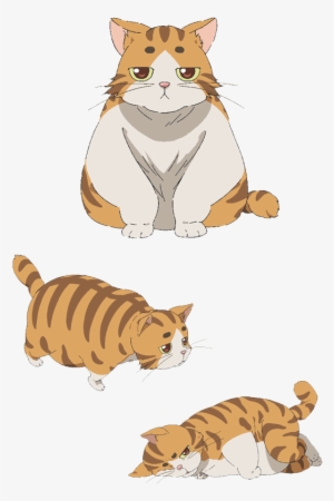 Img Main01 - Isoroku The Cat #3760575