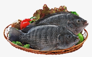 Whole Black Tilapia - Fish Products #3761322