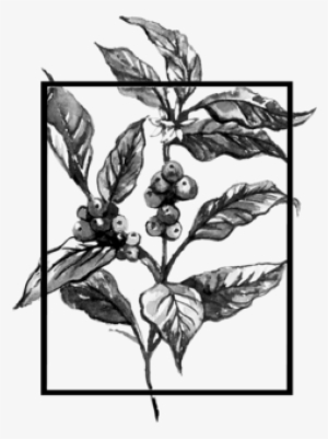 Primavera Png #3761560