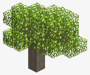 Lemontree - Tree #3761954
