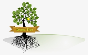 Lemon Tree Apps - Wood Sorrel #3762347