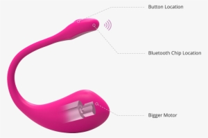 What's New - Lush Lovense #3762830