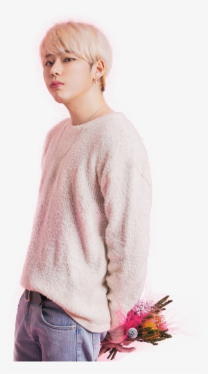 Zico Block B Pink #3762867