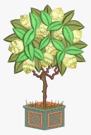 27 - Lemon Tree - Tree #3762966