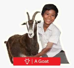 Inner Life Of Animals #3764573