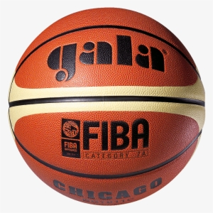 For Professionals - Gala Basketball #3765379