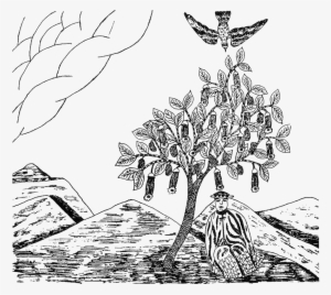 A Native Drawing Of The Tree Of The Evil Eagle - Brugmansia Shaman #3766051