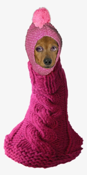 , Stylish And Crunch Proof Sock Garmet ) - Crochet #3766856