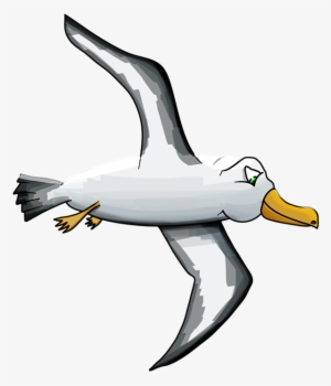 Svg Freeuse Library Png Transparent Images Pluspng - Albatross #3767536