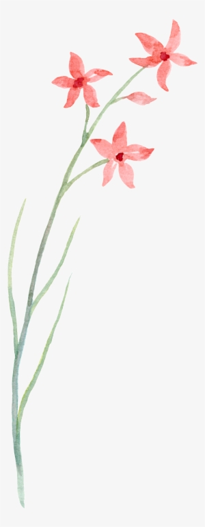 Simple Line Floral Transparent Decorative - Flower #3768808