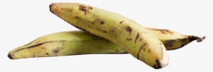 Free Png Plantain Png Images Transparent - Plantain Png #3769047