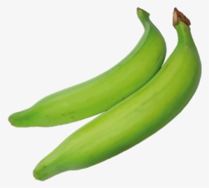 Plantain - Platano Verde Nombre Cientifico #3769135