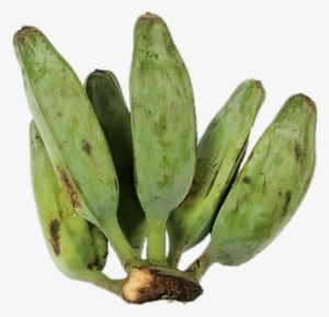 Download - Cooking Banana #3769157