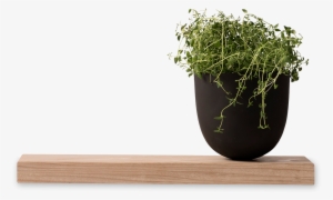 Grow Pot-0 - Pot Plants Png Kitchen #3769286