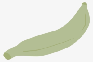 The Lills Food Plantain - Saba Banana #3769376