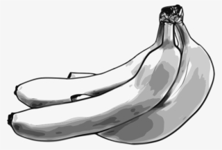 Drawing Line Art Banana Black And White - Banana Png Black And White #3769803