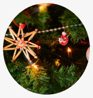 Decorations #3769952