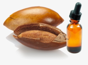 Hueso De Mamey #3770554