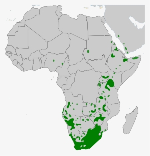 Open - East African City State Of Mogadishu #3770634