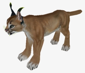 Download Zip Archive - Zoo Tycoon 2 Caracal #3771916