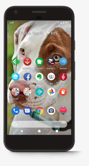 Google Pixel #3772210