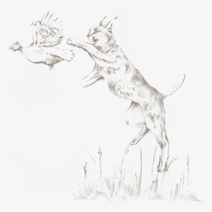 Back To Blog - Sketch #3772259