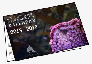 Download Book Format Calendar - Online Advertising #3772275