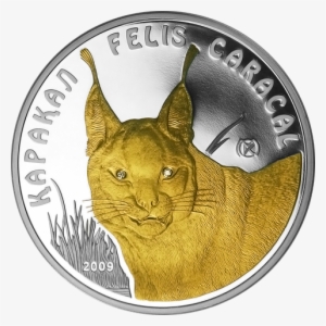 Caracal Proof Silver Coin 100 Tenge Kazakhstan - Silver #3772595