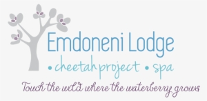 Emdoneni Lodge - Spa Project #3773242