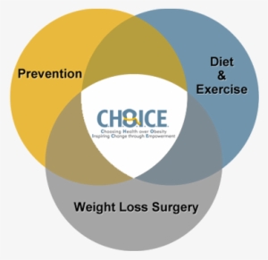 Here Is A Diagram From Their Website That I Really - Reverse Phase Protein Microarray #3774695