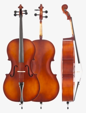 Student Cellos - 4 4 Cello #3775353