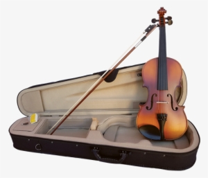 Sz Sarasate Student Violin With Professional Set-up, - Violin #3775760