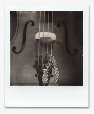 Double Bass #3776095