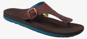 The Myvale Duckbill - Slipper #3776279