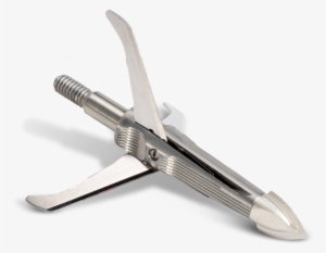 Spitfire Maxx - Archery #3777697 Spitfire Maxx - Archery #3777697