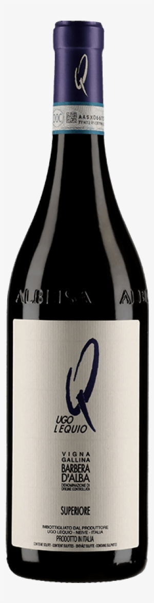 2014 Ugo Lequio Barbera D'alba Superiore Gallina - Cantina Ugo Lequio #3777722
