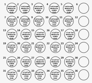 Vitotox Procedure Gentaur - Circle #3778594