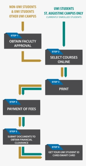 Summer School Registration Procedure - Portable Network Graphics #3778643