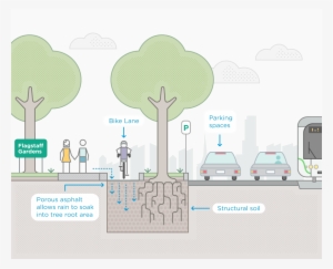 Project Details - Bike Lane Separated Trees #3779386