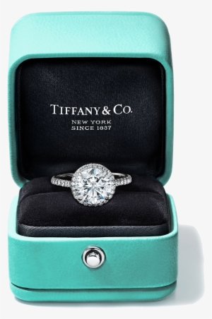 Pre Wedding, Pregnancy, Maternity And Family Photo - Tiffany New Engagement Ring Box #3780127
